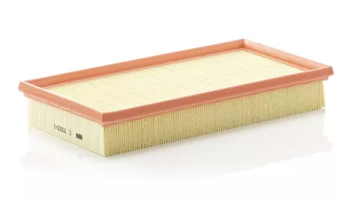 MANN-FILTER Air Filter (C3093/1)