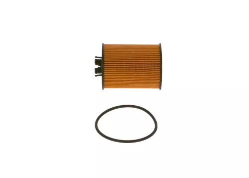 BOSCH Oil Filter (F026407015)
