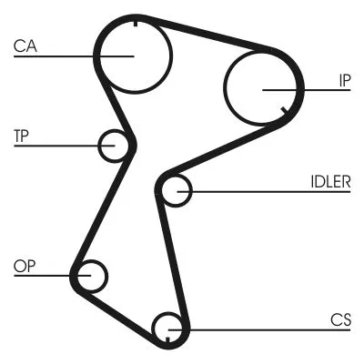 Timing Belt Kit