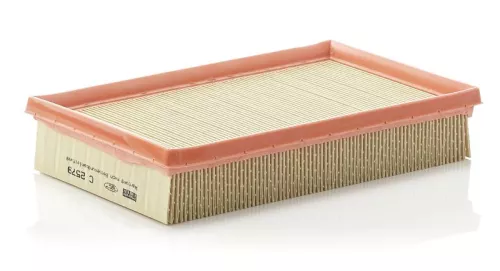 MANN-FILTER Air Filter (C2579)