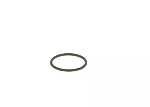 BOSCH Seal Ring (F00VC38002)