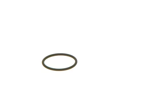 BOSCH Seal Ring (F00VC38002)