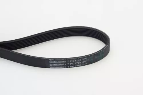 V-Ribbed Belt