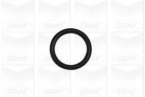 GRAF Water Pump, engine cooling (PA1023)