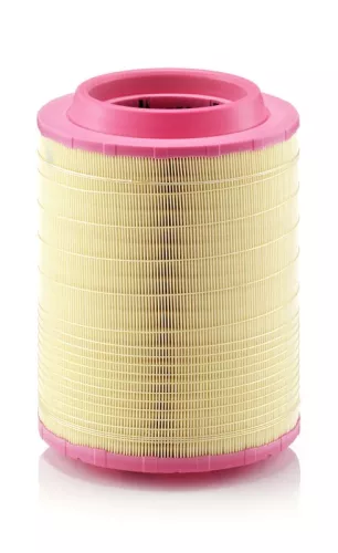 MANN-FILTER Air Filter (C25660/2)