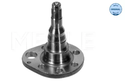 Steering Knuckle, wheel suspension
