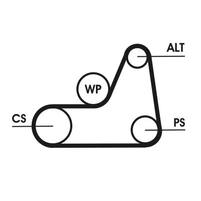 CONTINENTAL CTAM V-Ribbed Belt (6PK1042ELAST)