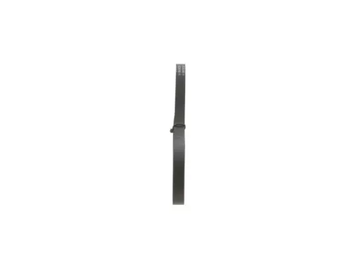 BOSCH V-ribbed Belt (1987948302)