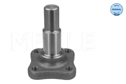 Steering Knuckle, wheel suspension