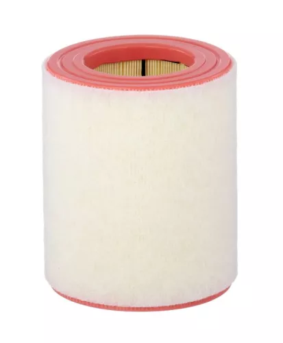 MANN-FILTER Air Filter (C16005)