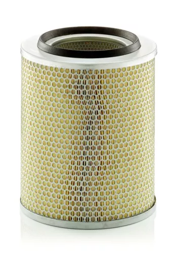MANN-FILTER Air Filter (C2439)