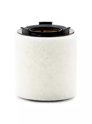 MANN-FILTER Air Filter (C15008)
