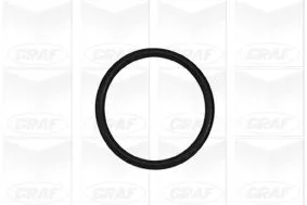 GRAF Water Pump, engine cooling (PA985)