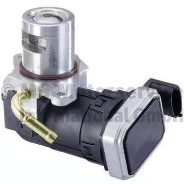 PIERBURG EGR Valve (7.24809.29.0)