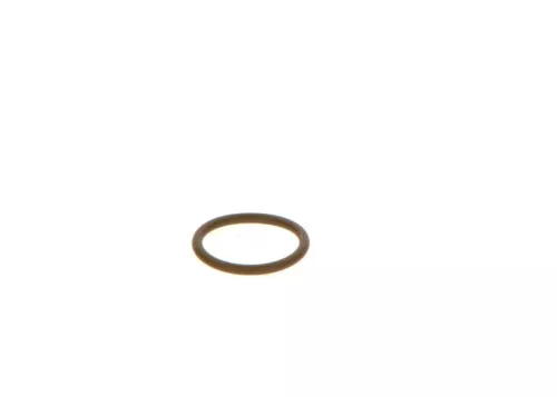 BOSCH Seal Ring (F00VC38044)