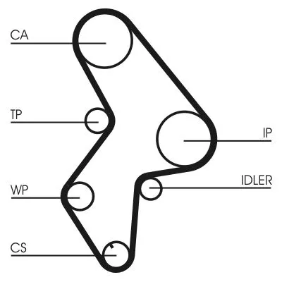 Water Pump & Timing Belt Kit