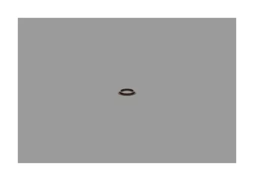 BOSCH Seal Ring, injector shaft (2430190002)