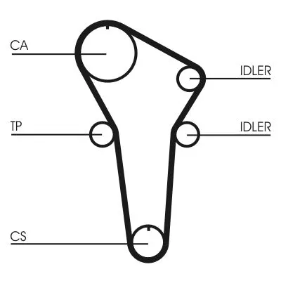 Timing Belt