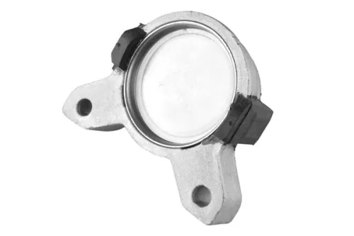 TEDGUM Mounting, engine (00222724)