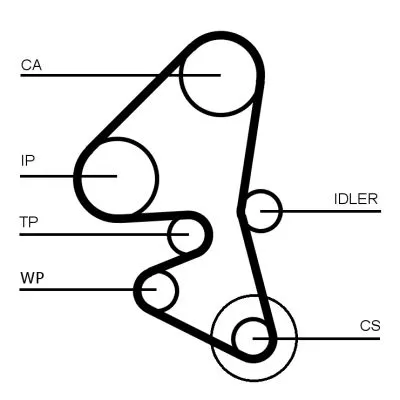 CONTINENTAL CTAM Timing Belt (CT1162)