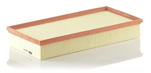 MANN-FILTER Air Filter (C39219)