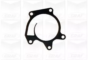 GRAF Water Pump, engine cooling (PA1172)