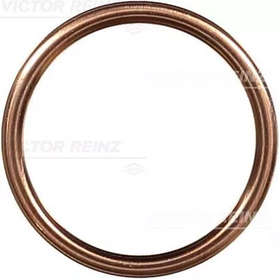 Seal Ring, oil drain plug