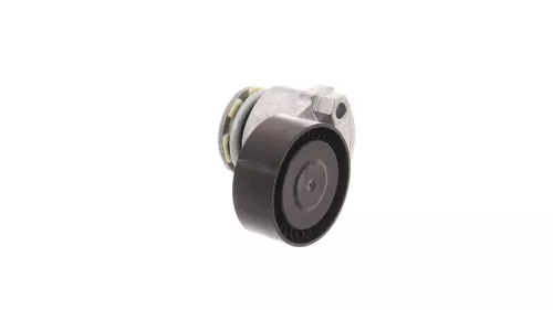 SKF Belt Tensioner, V-ribbed belt (VKM36055)