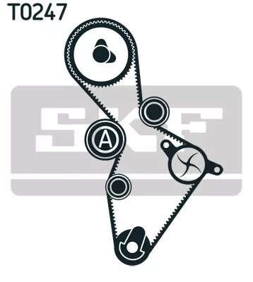 SKF Water Pump & Timing Belt Kit (VKMC01220)