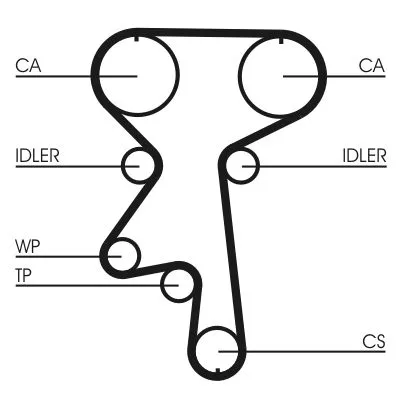CONTINENTAL CTAM Water Pump & Timing Belt Kit (CT924WP1)