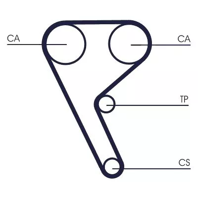 Timing Belt