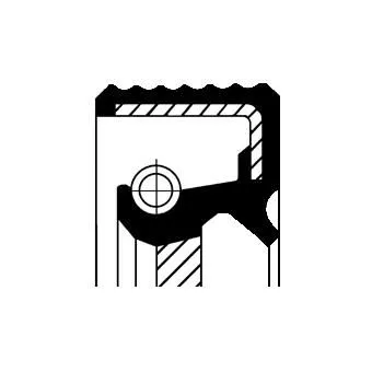 CORTECO Shaft Seal, automatic transmission (19036867B)