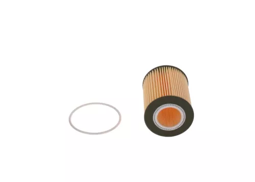 BOSCH Oil Filter (F026407075)