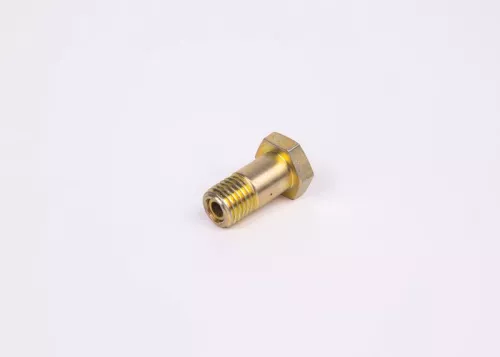 BOSCH Screw (F002D13579)