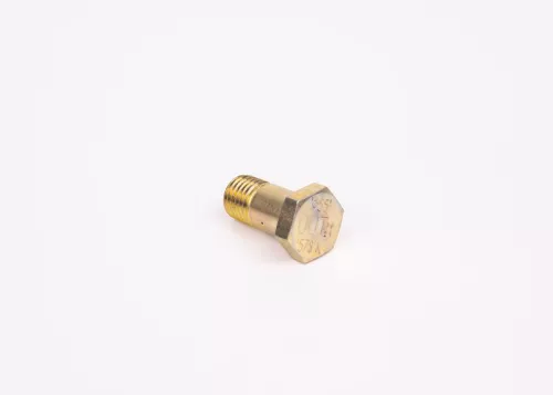 BOSCH Screw (F002D13579)