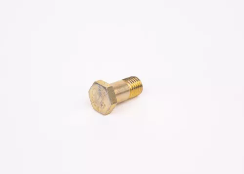 BOSCH Screw (F002D13579)