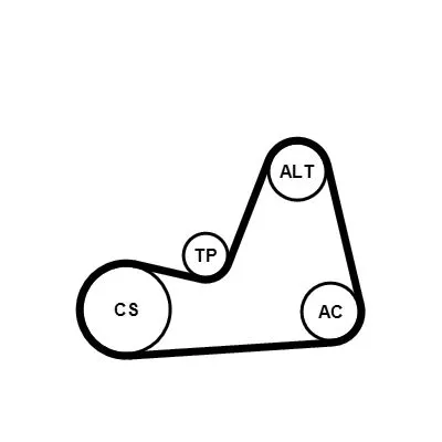 CONTINENTAL CTAM V-ribbed Belt Set (6PK1100K1)