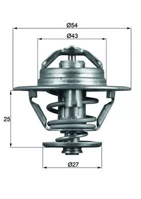 Thermostat, coolant