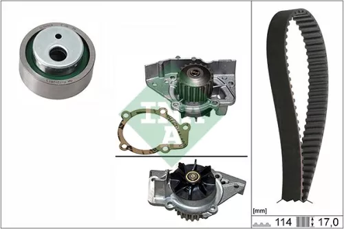 Schaeffler INA Water Pump & Timing Belt Kit (530025831)
