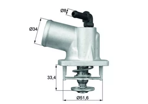 Thermostat, coolant