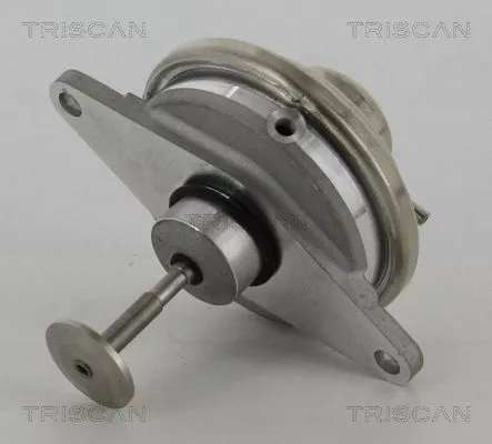 TRISCAN EGR Valve (881324054)