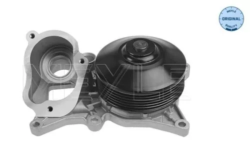 MEYLE Water Pump, engine cooling (3132200021)