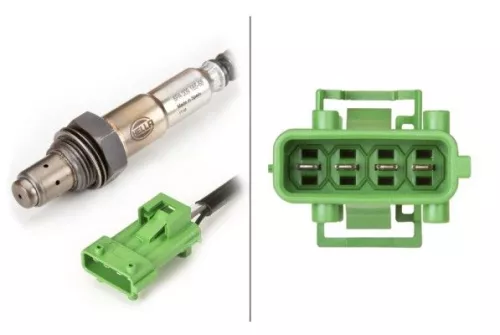 Oxygen Sensor