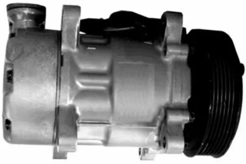MAHLE Compressor, air conditioning (ACP1095000S)