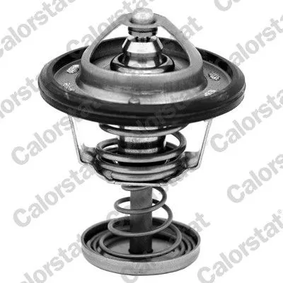 CALORSTAT by Vernet Thermostat, coolant (6950.82J)