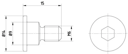 Bolt, brake disc