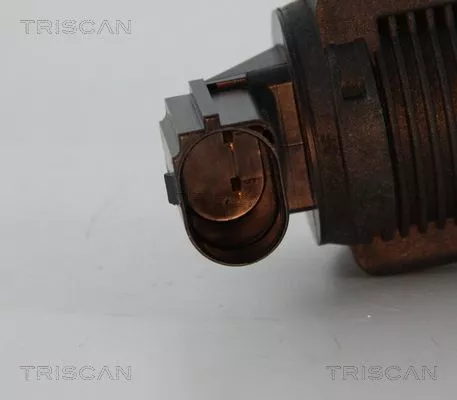 TRISCAN EGR Valve (881315032)