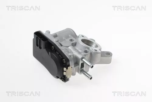 TRISCAN EGR Valve (881314100)