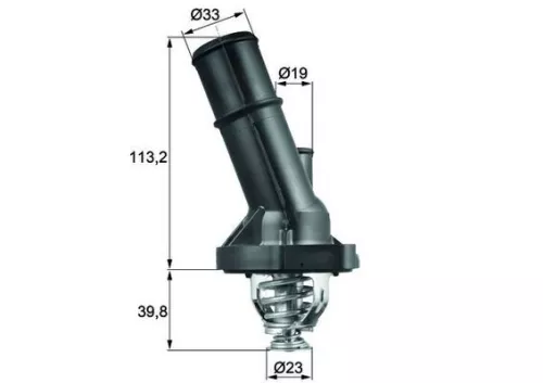 Thermostat, coolant