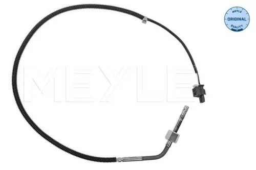 Sensor, exhaust gas temperature